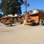 Cambria_0414 (November 01, 2013)